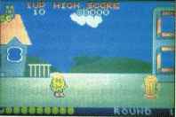 PAC-LAND