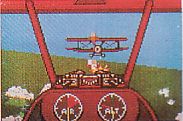 Warbirds
